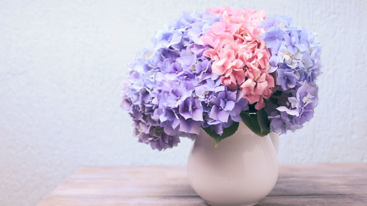 Цветы в вазе