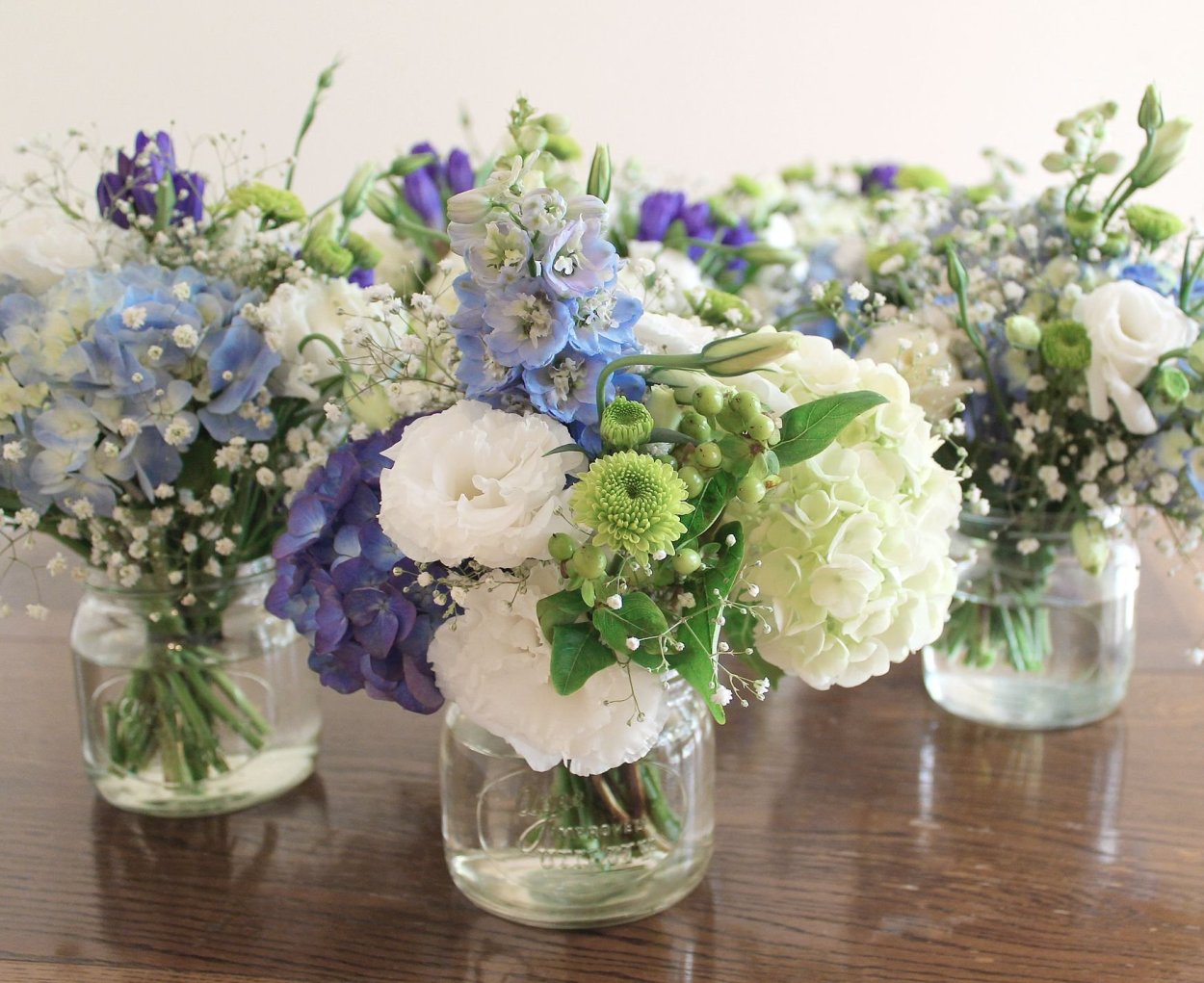 Гортензия Голландия