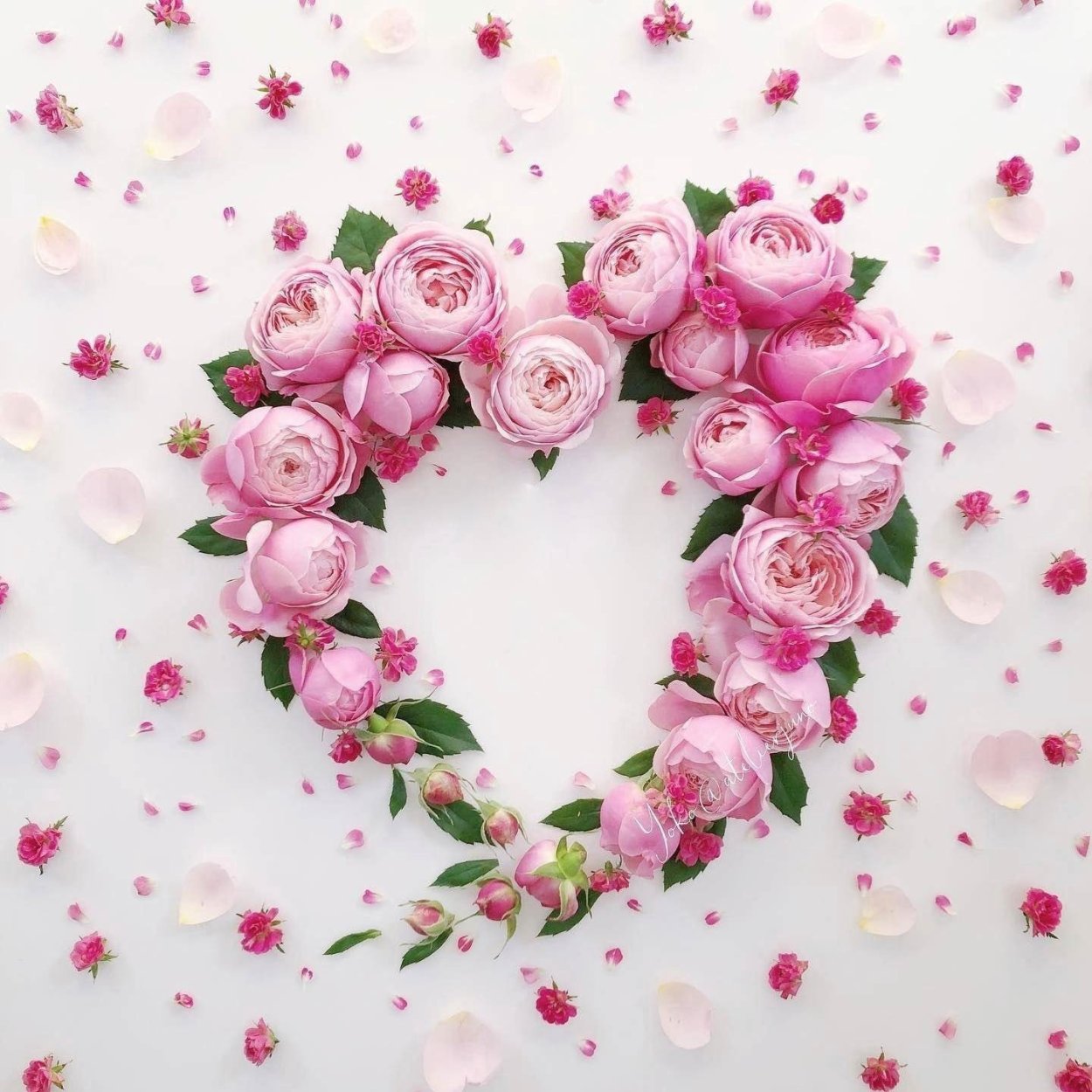 Atelierjuno день рождения