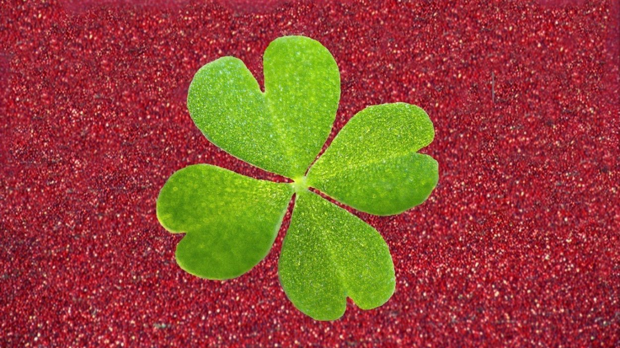 Красный четырехлистный Клевер