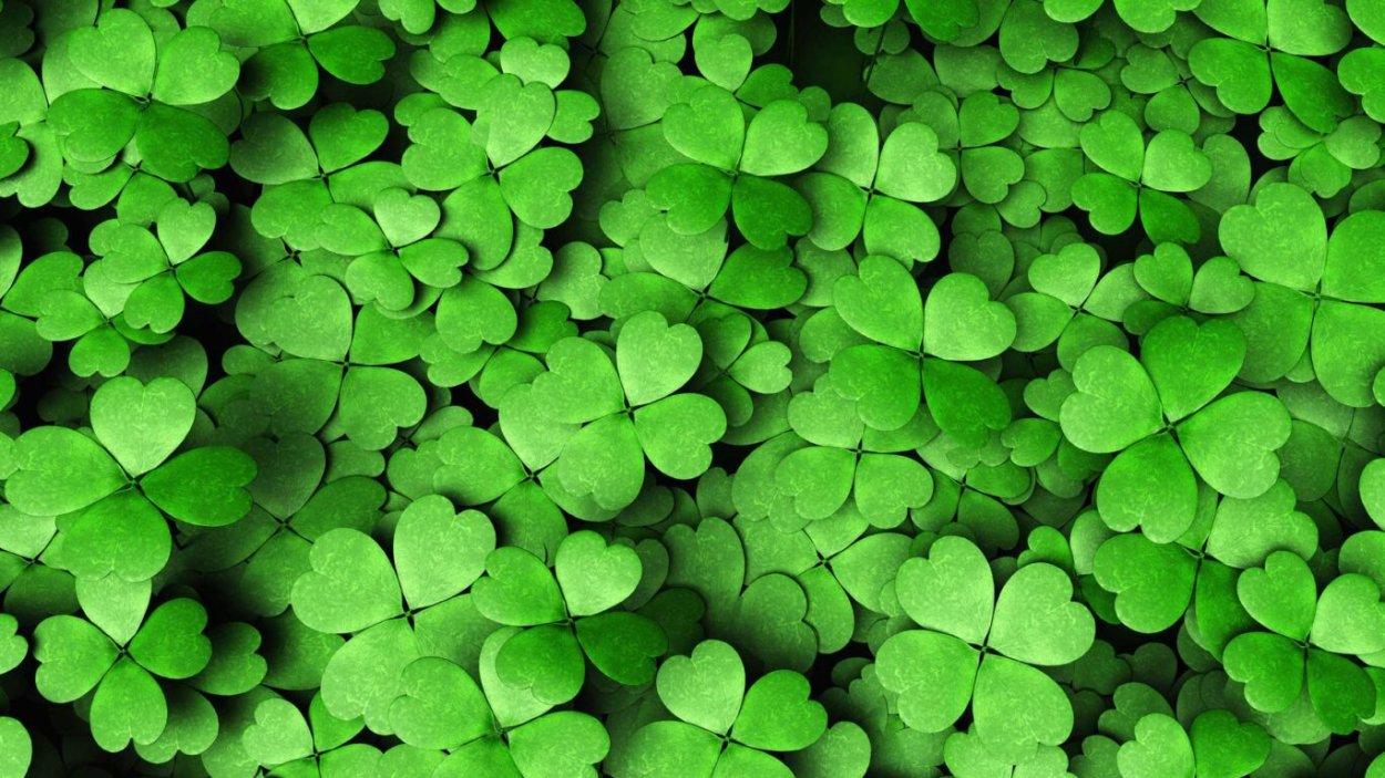 Пятилистный Клевер