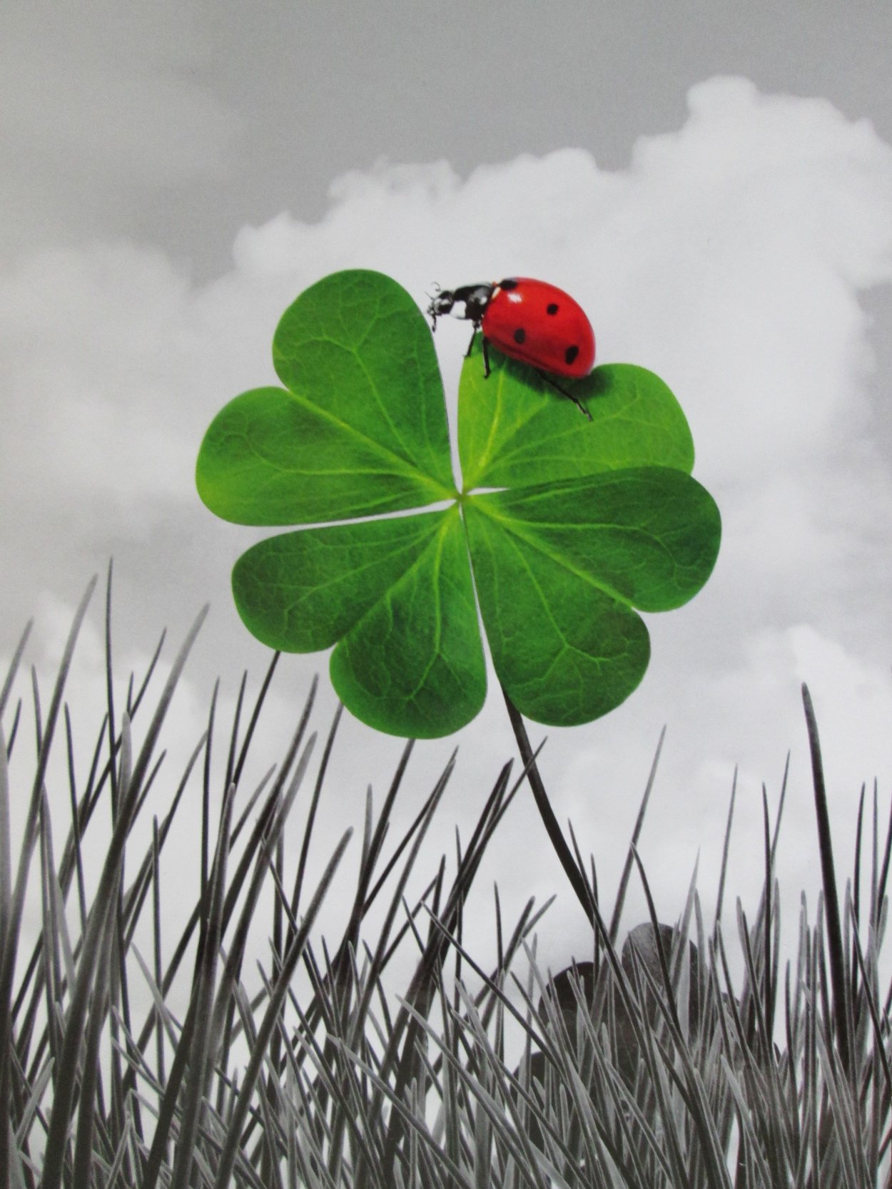 Четырёхлистный Клевер стихии