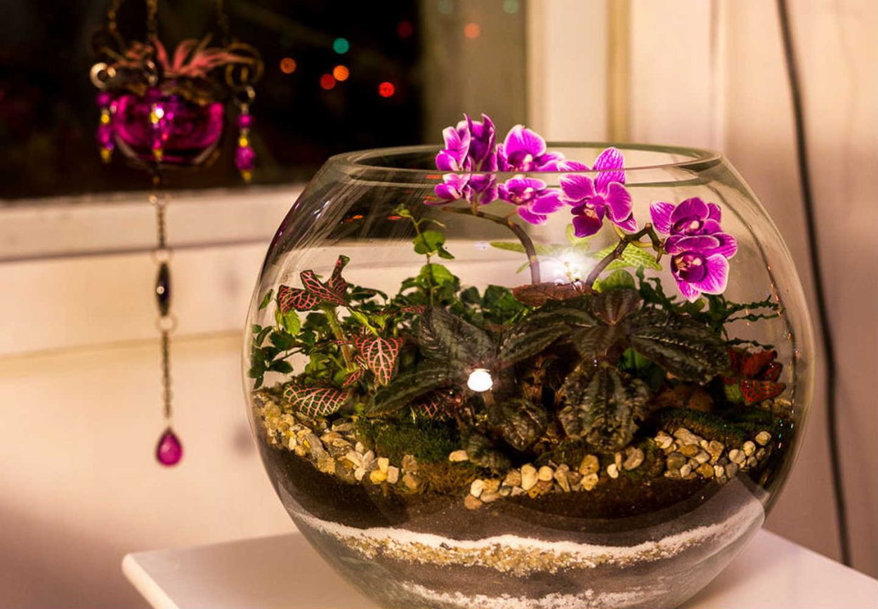 Флорариум в аквариуме