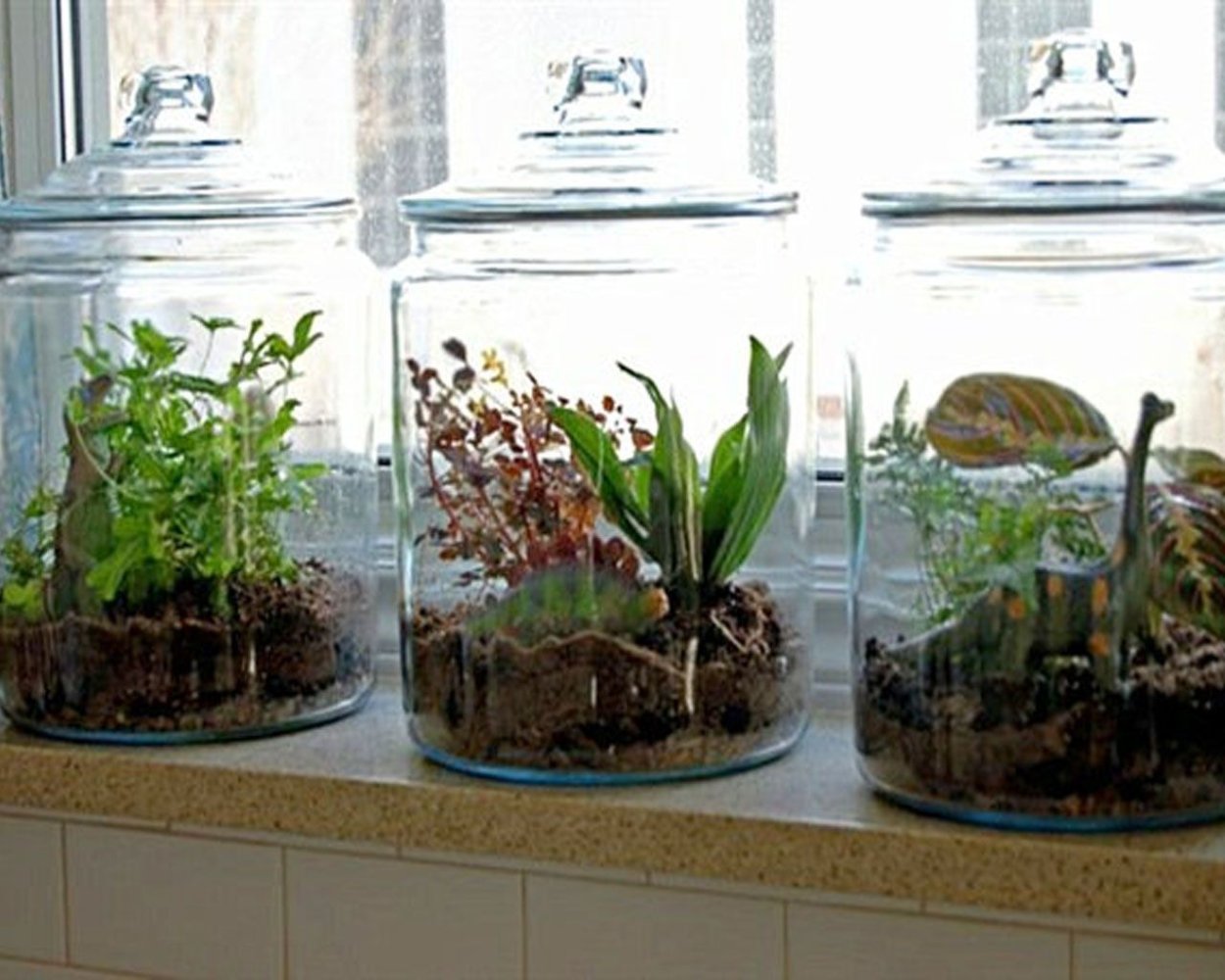 Флорариум с орхидеями