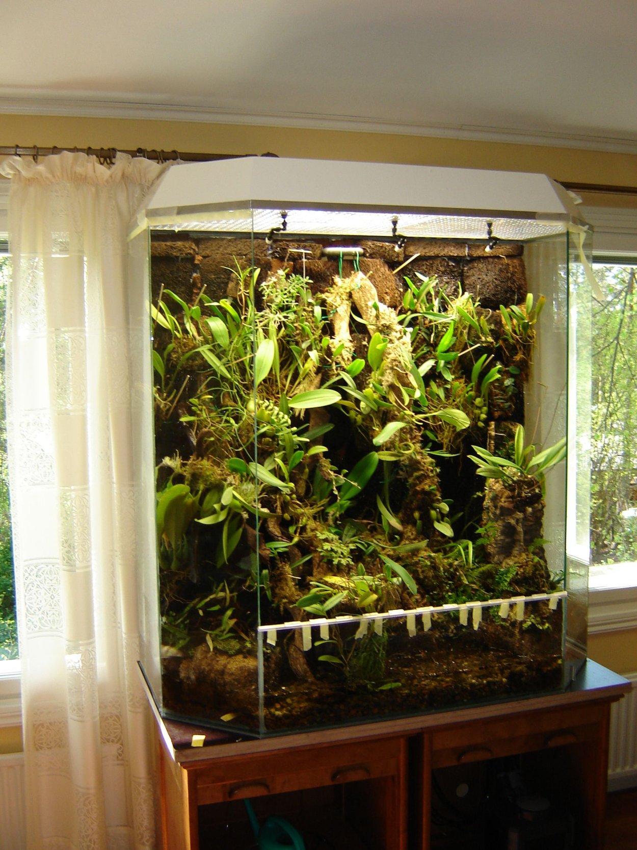 Орхидариум в аквариуме