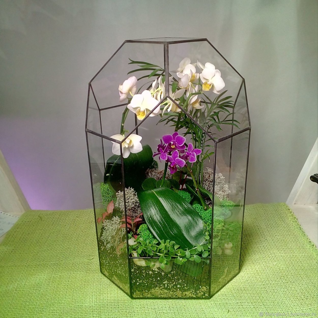 Флорариум сад орхидей