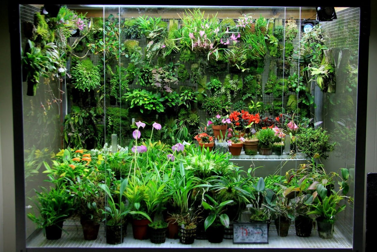 Фитофильтр для аквариума 50л