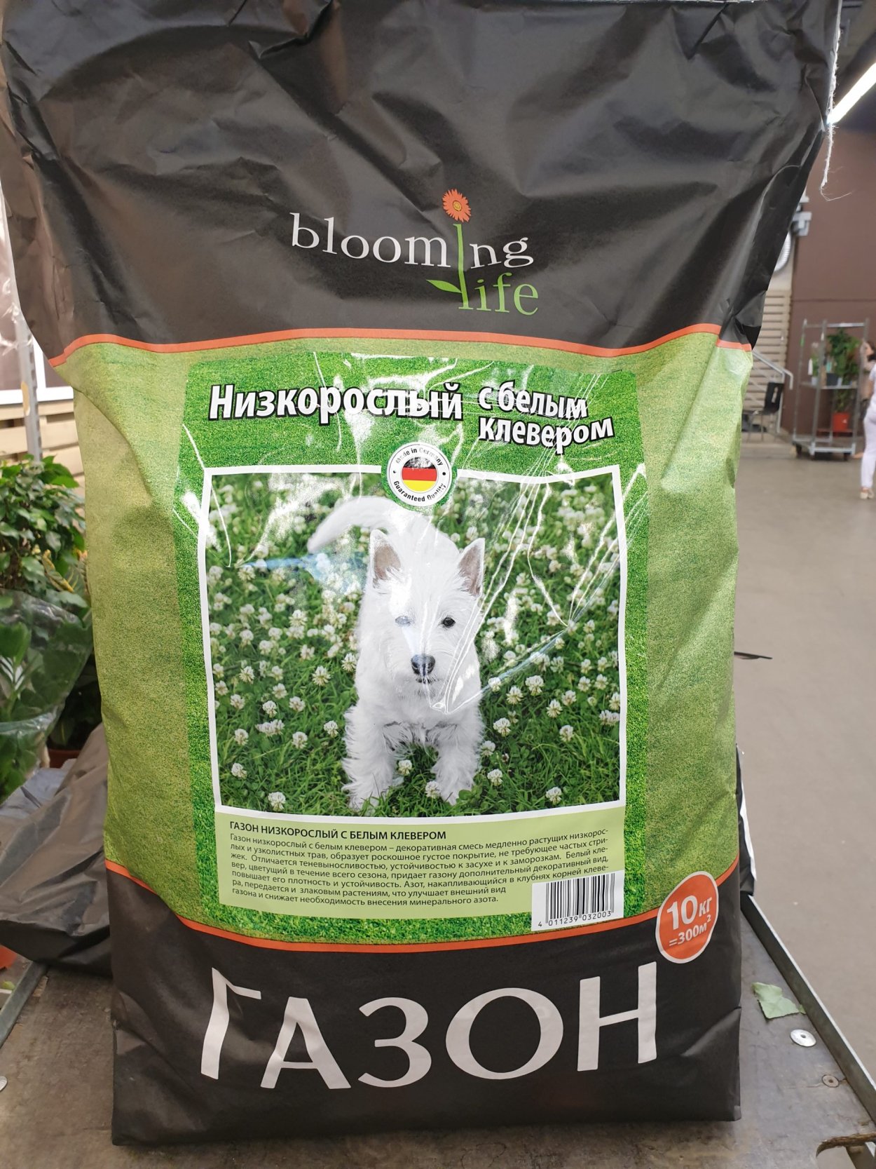 Клевер ползучий белый Ривендел