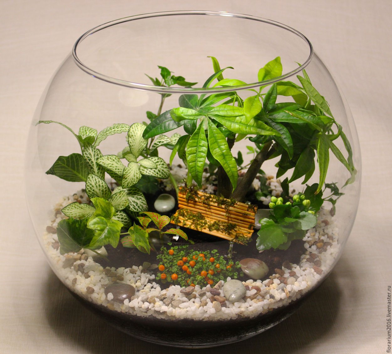 Флорариум с хамедореей