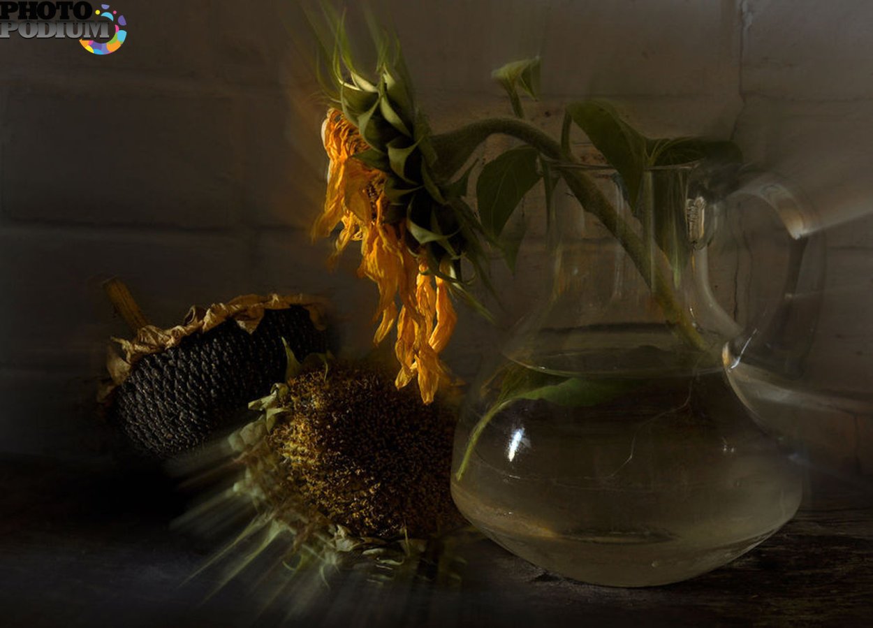 Одинокая роза в вазе