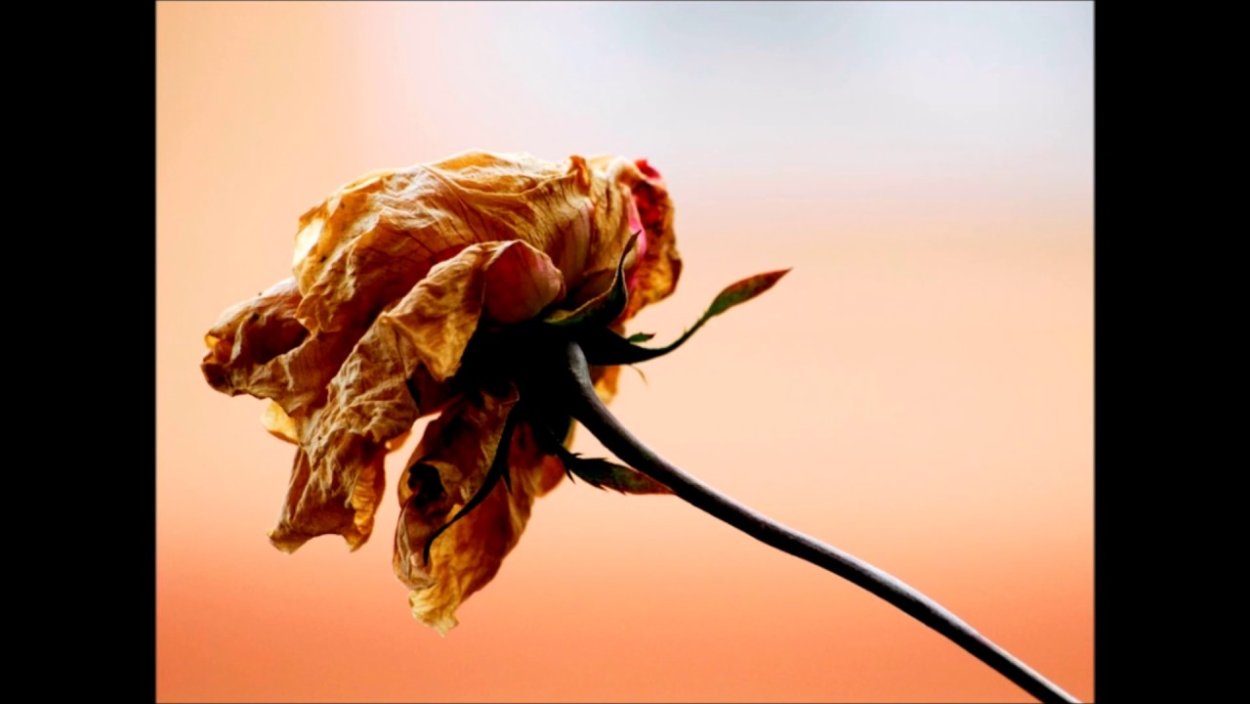 Осенняя композиция