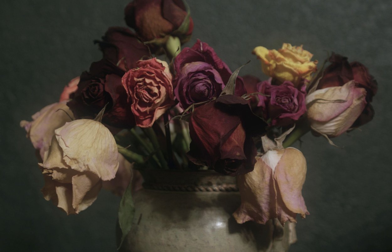 Цветы в банке на окне