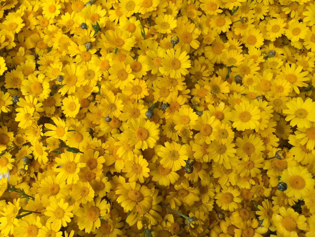 Серо желтые картинки