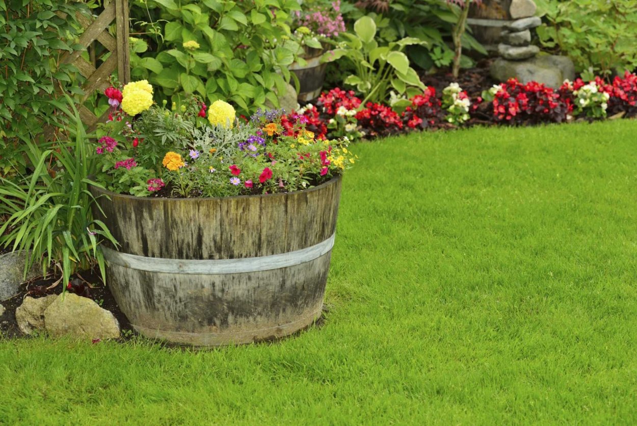 Клумбы на даче