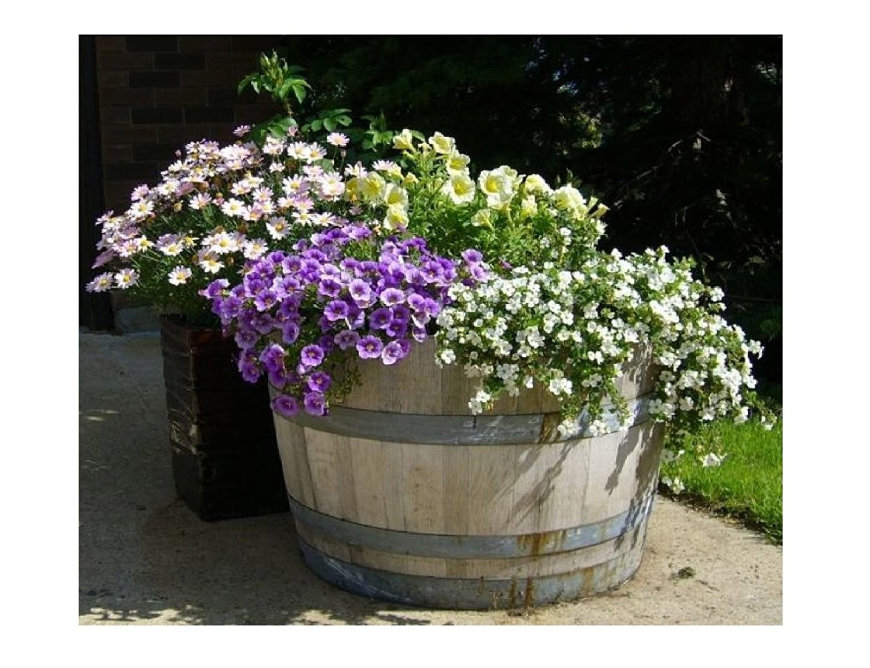 Цветник из Кадки