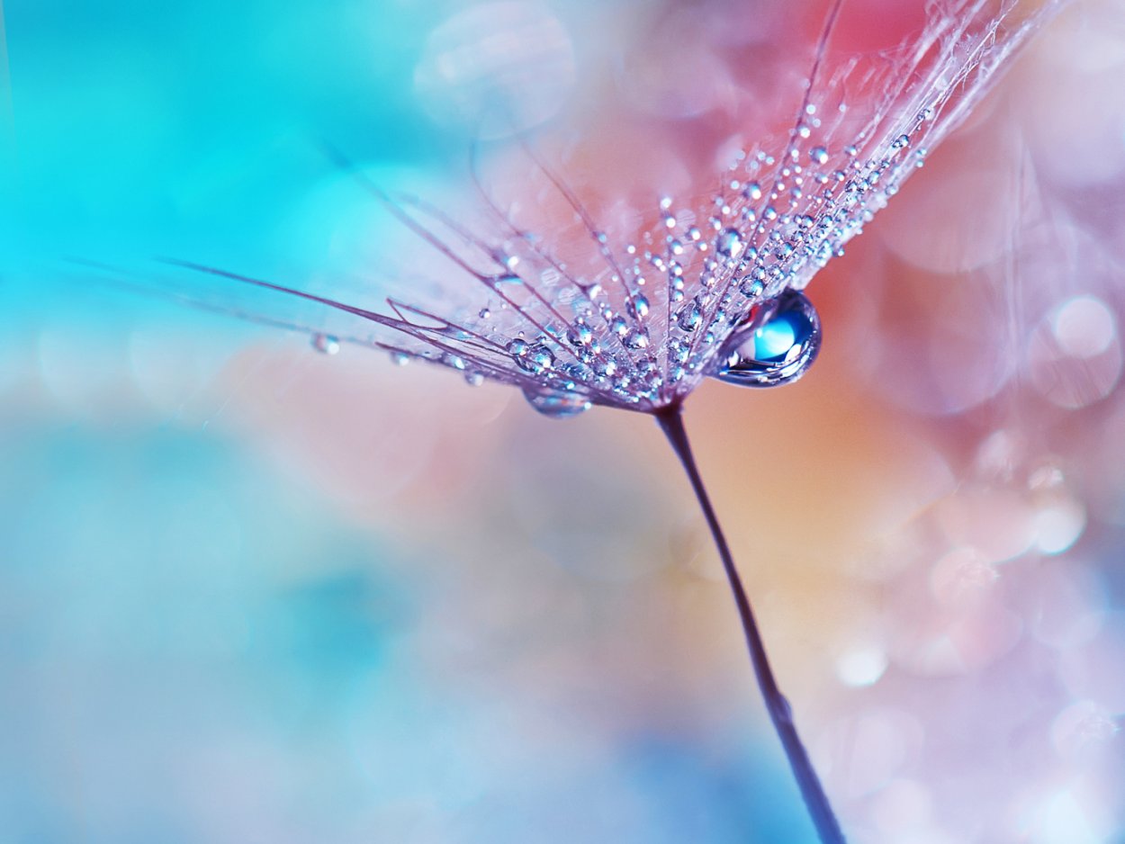 Добрых снов прикольные с Цитатами