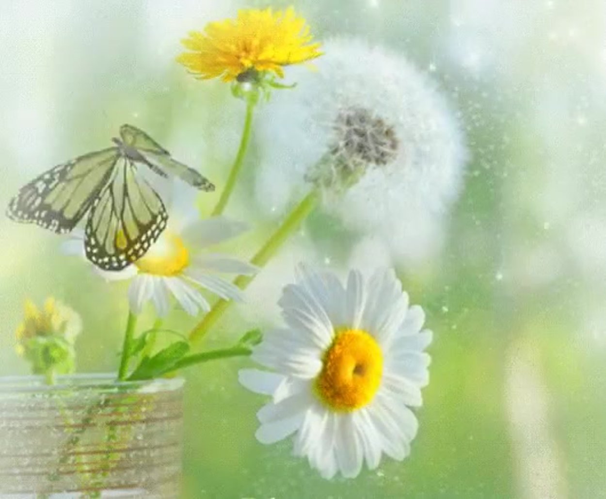 Полевые цветы в тумане