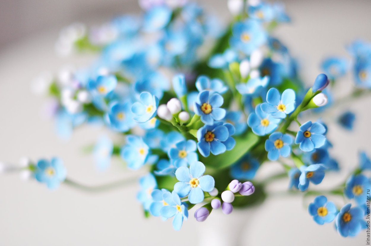 Букет Ландыши и незабудки