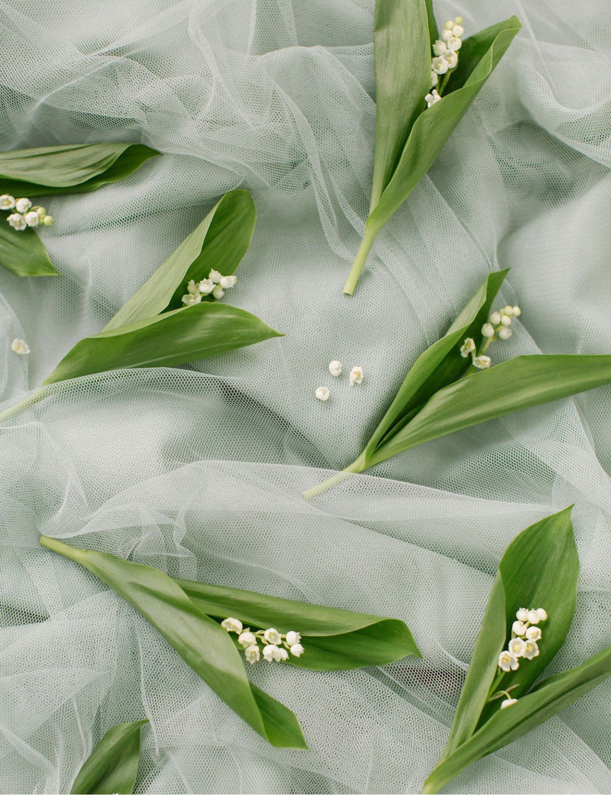 Ландыши и незабудки