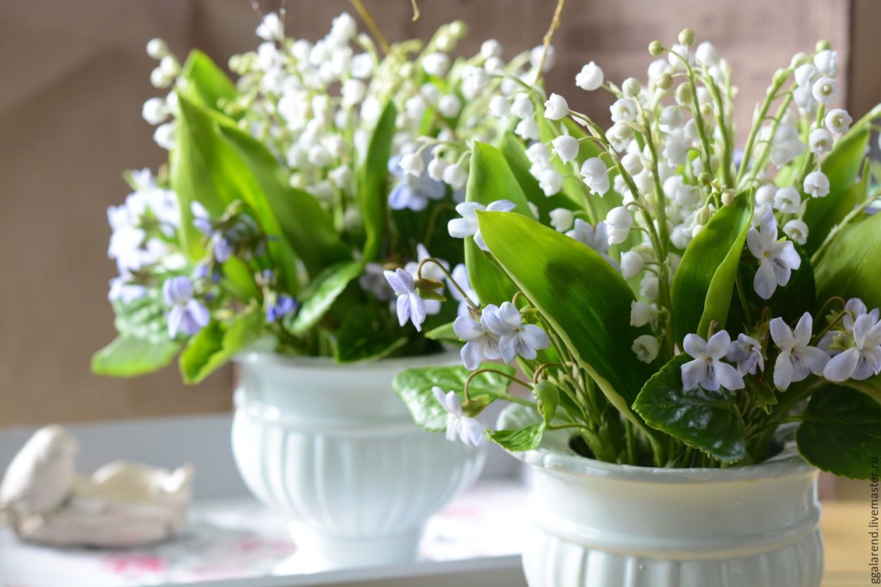 Ландыш голубой