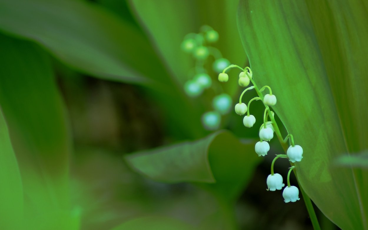 Винтажные весенние букеты