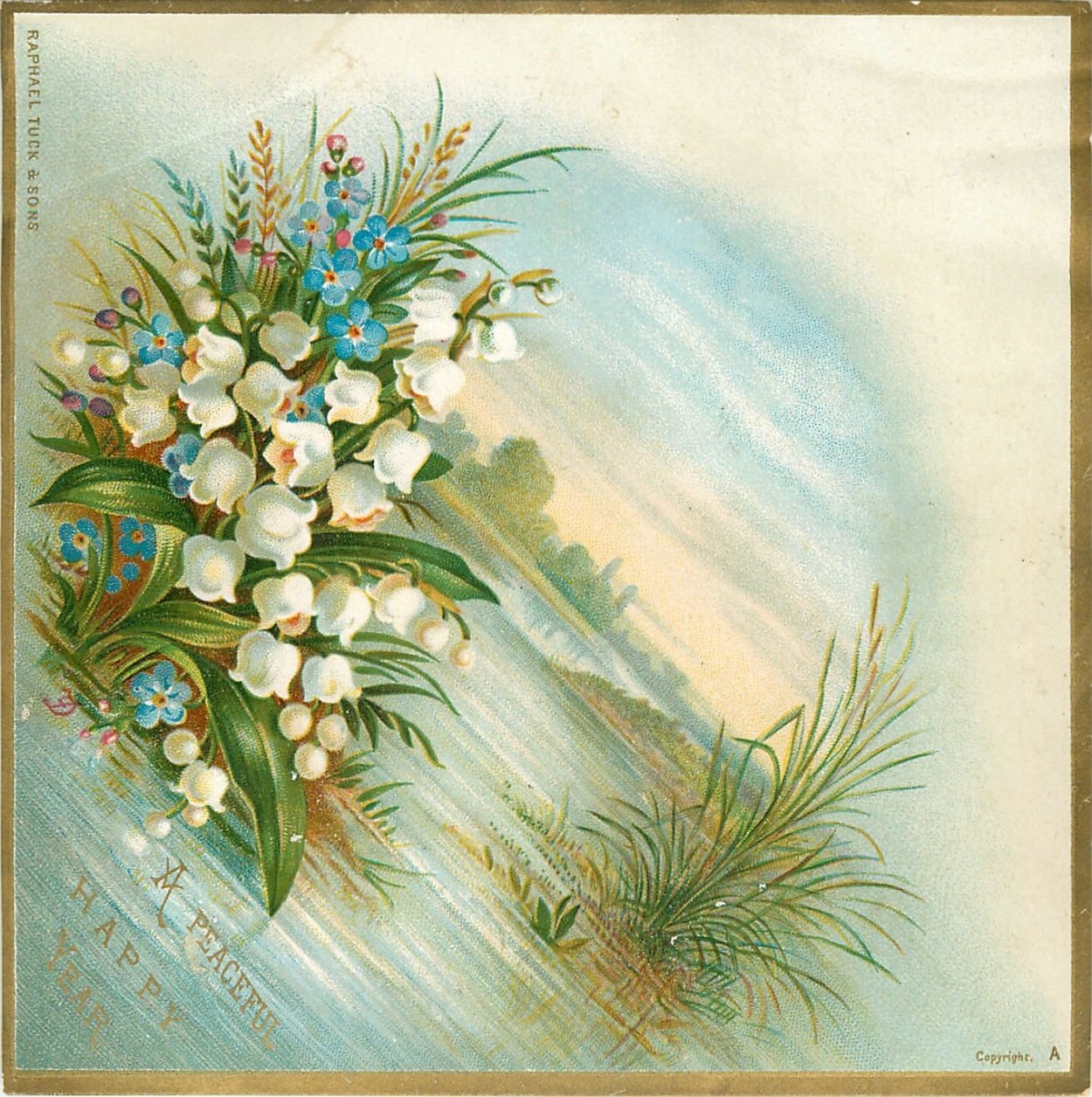 Ландыш Майский венчик