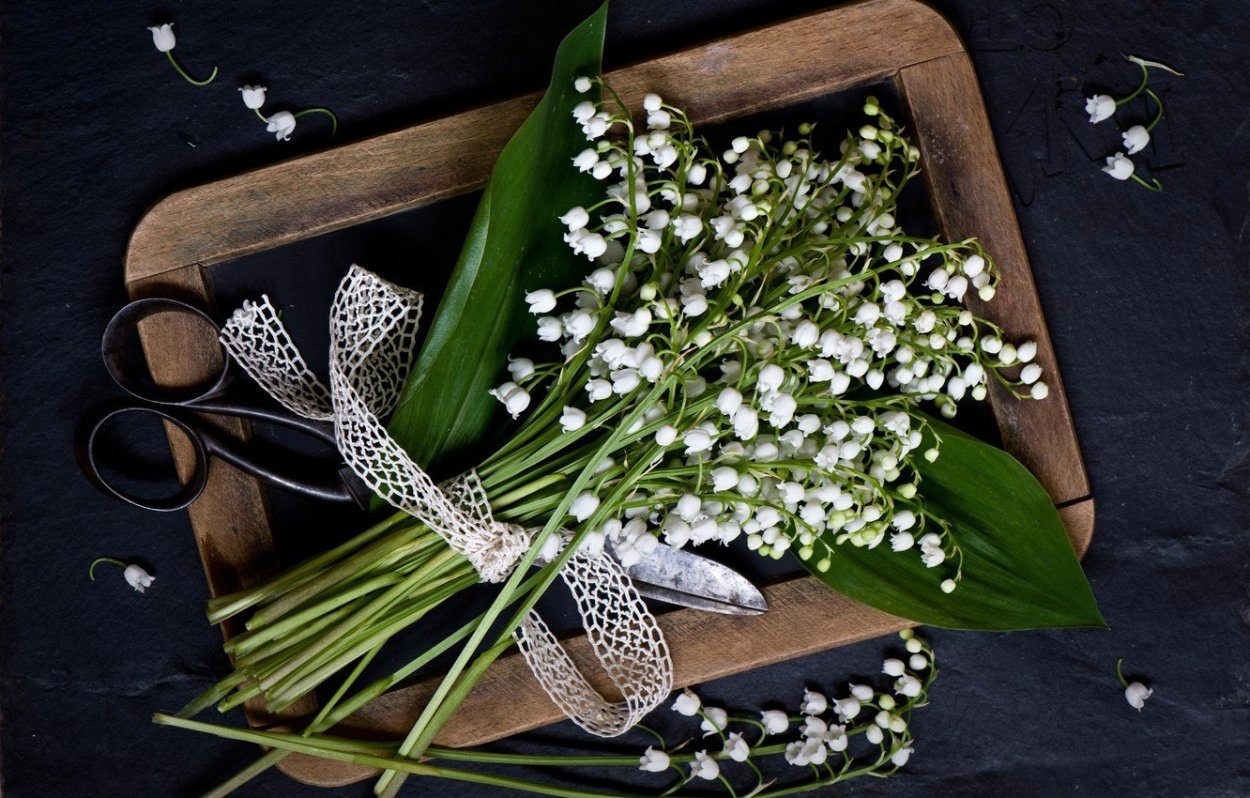 Маленькие весенние цветы