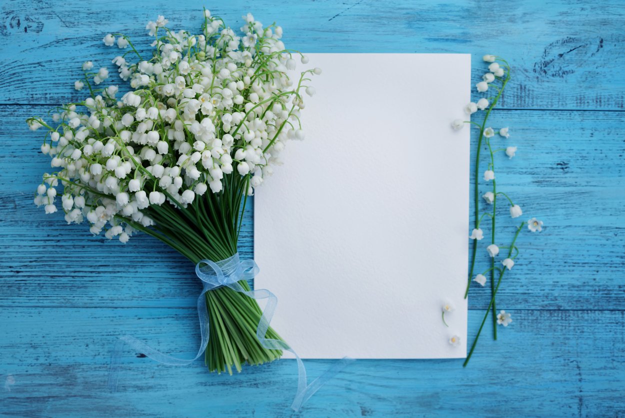 Ландыш серебристый