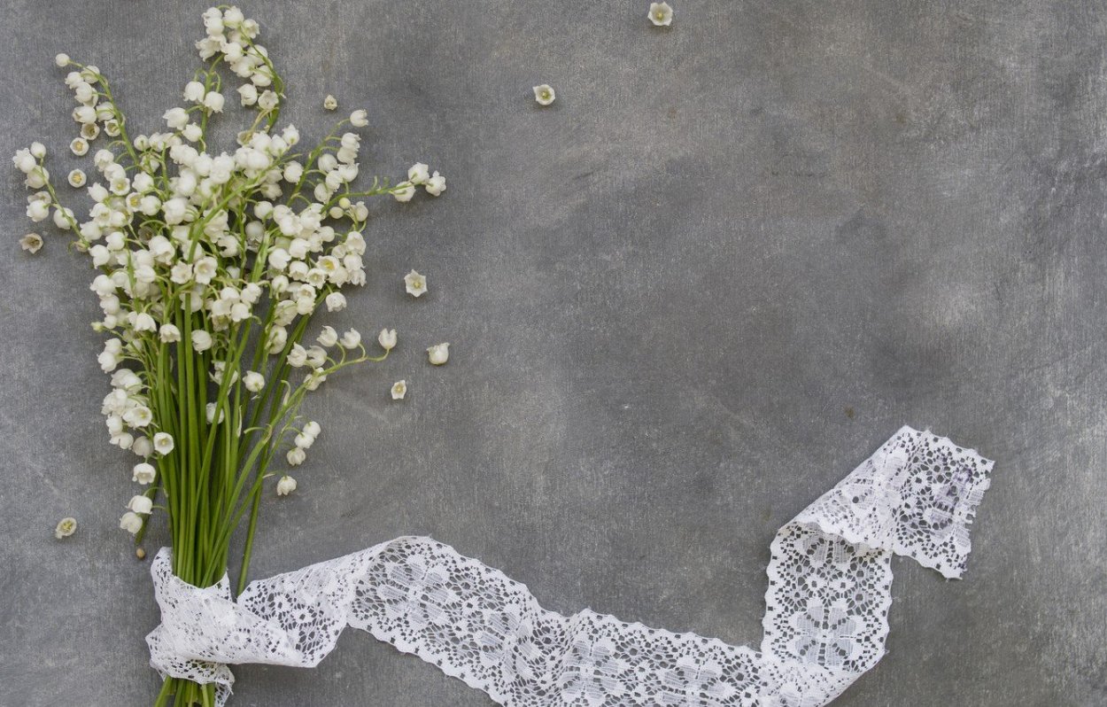 Ландыш голубой