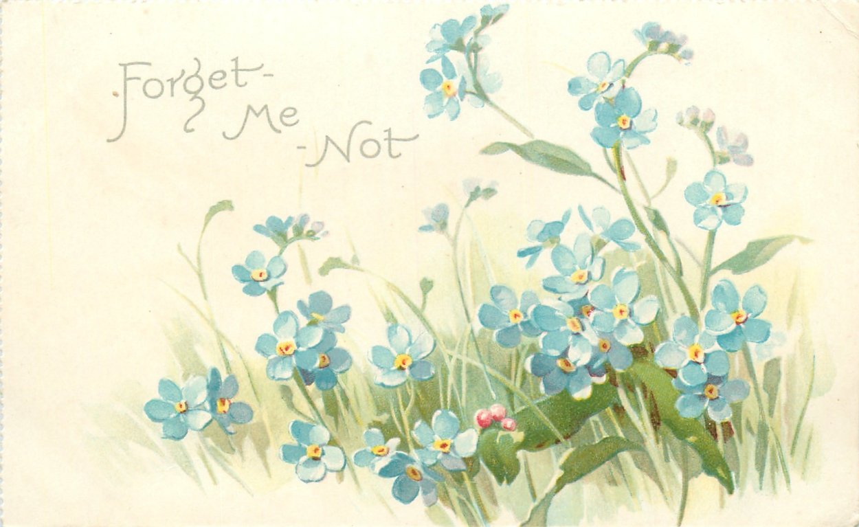 Зимние Ландыши