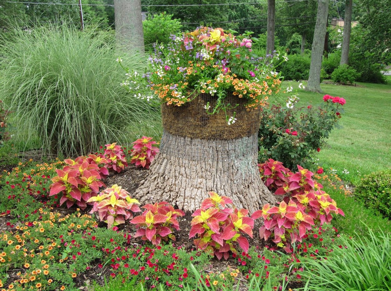 Декорация клумб