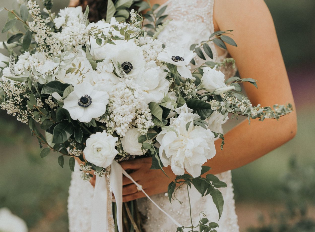 Семена молочай окаймленный