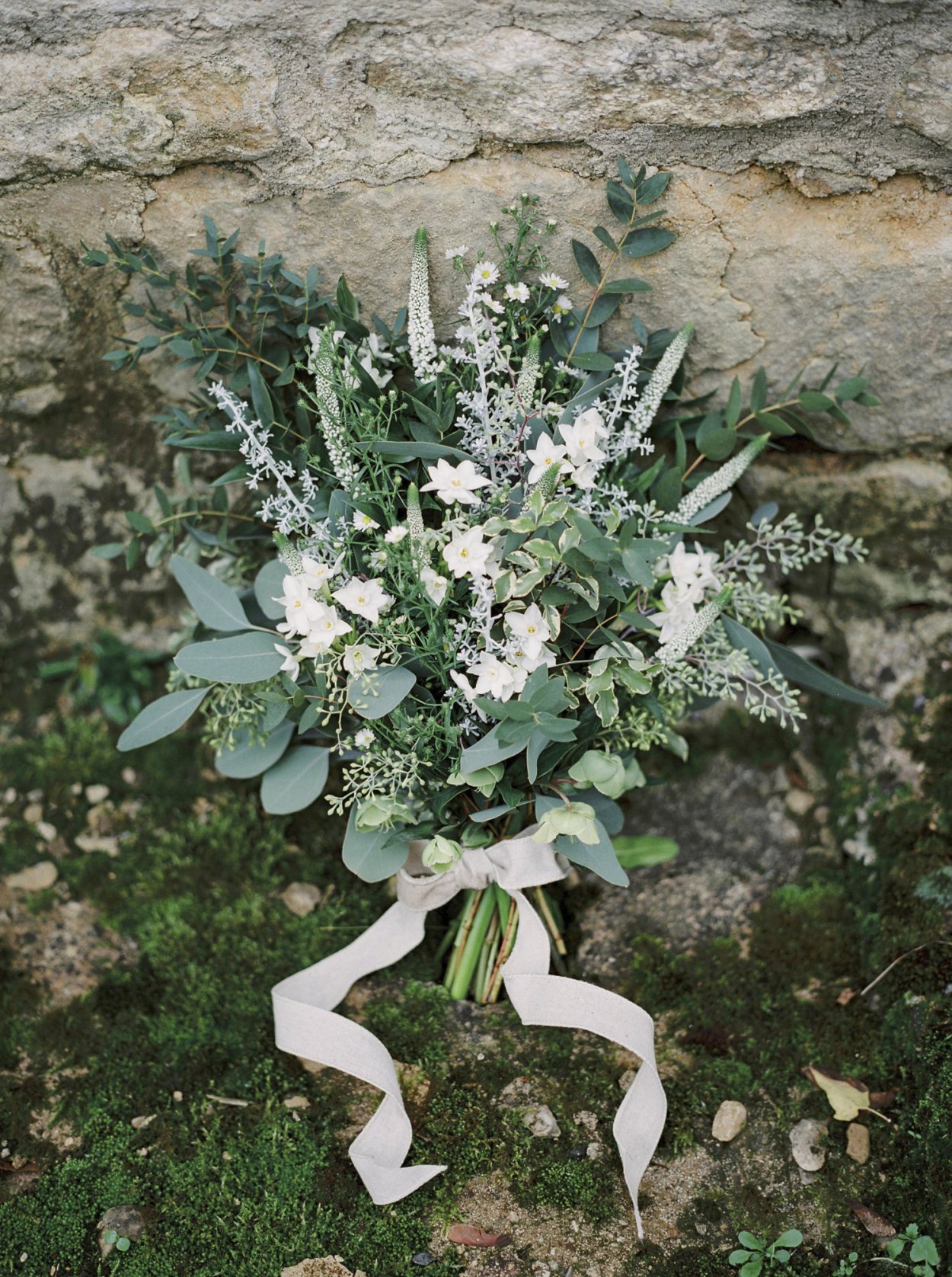 Экзохорда Ниагара