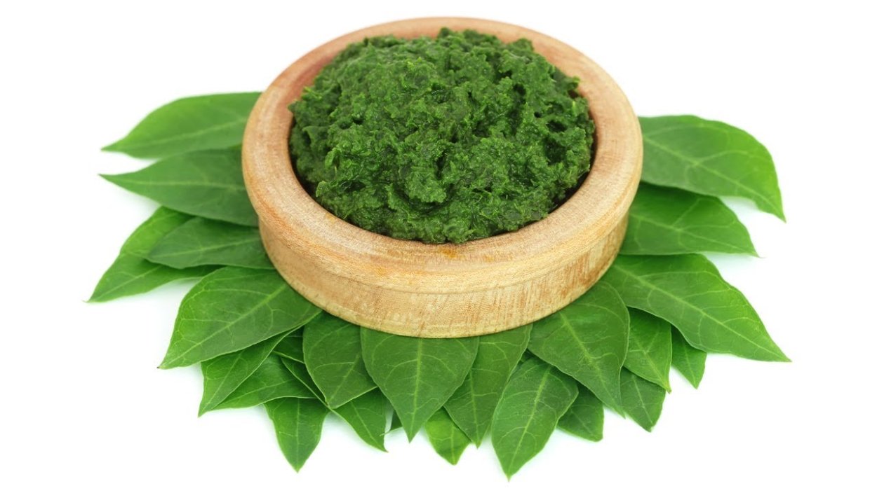 Растение Lawsonia inermis