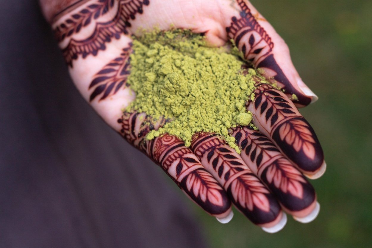 Растение хны