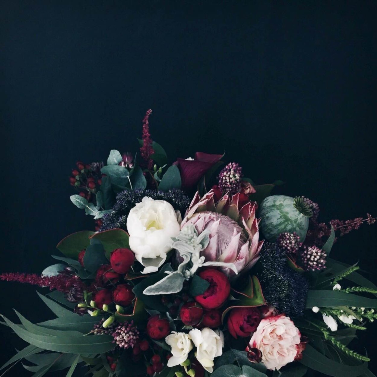 Пионы на темном фоне