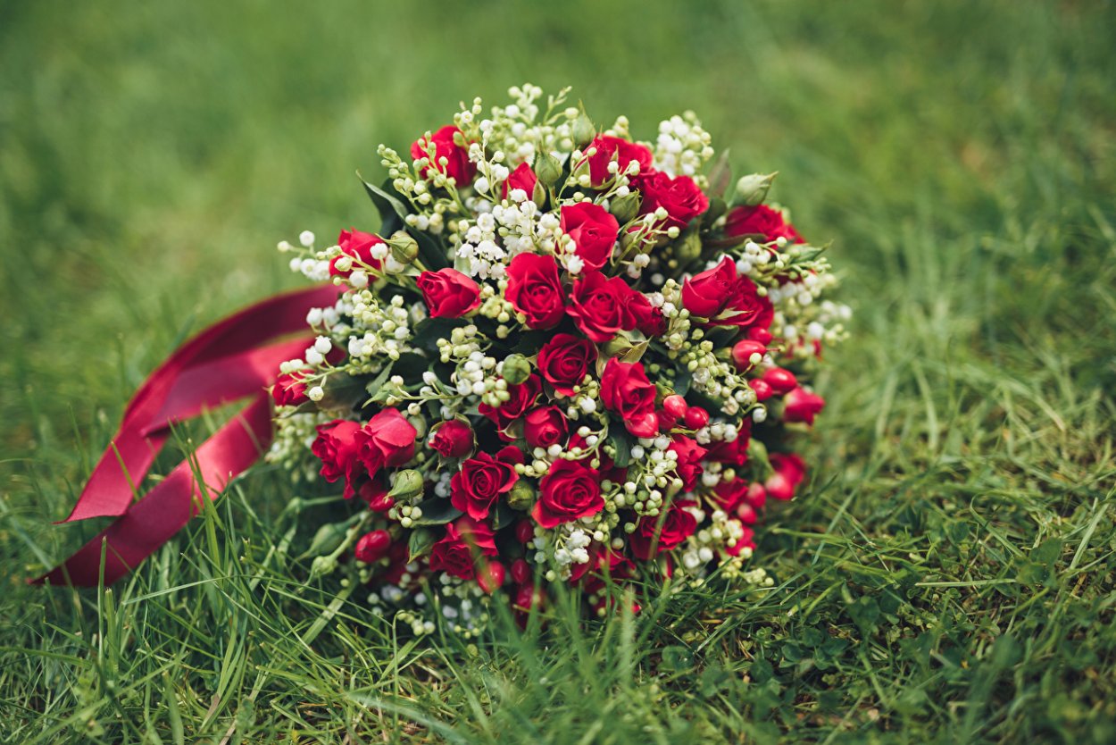 «Поле Васильков»