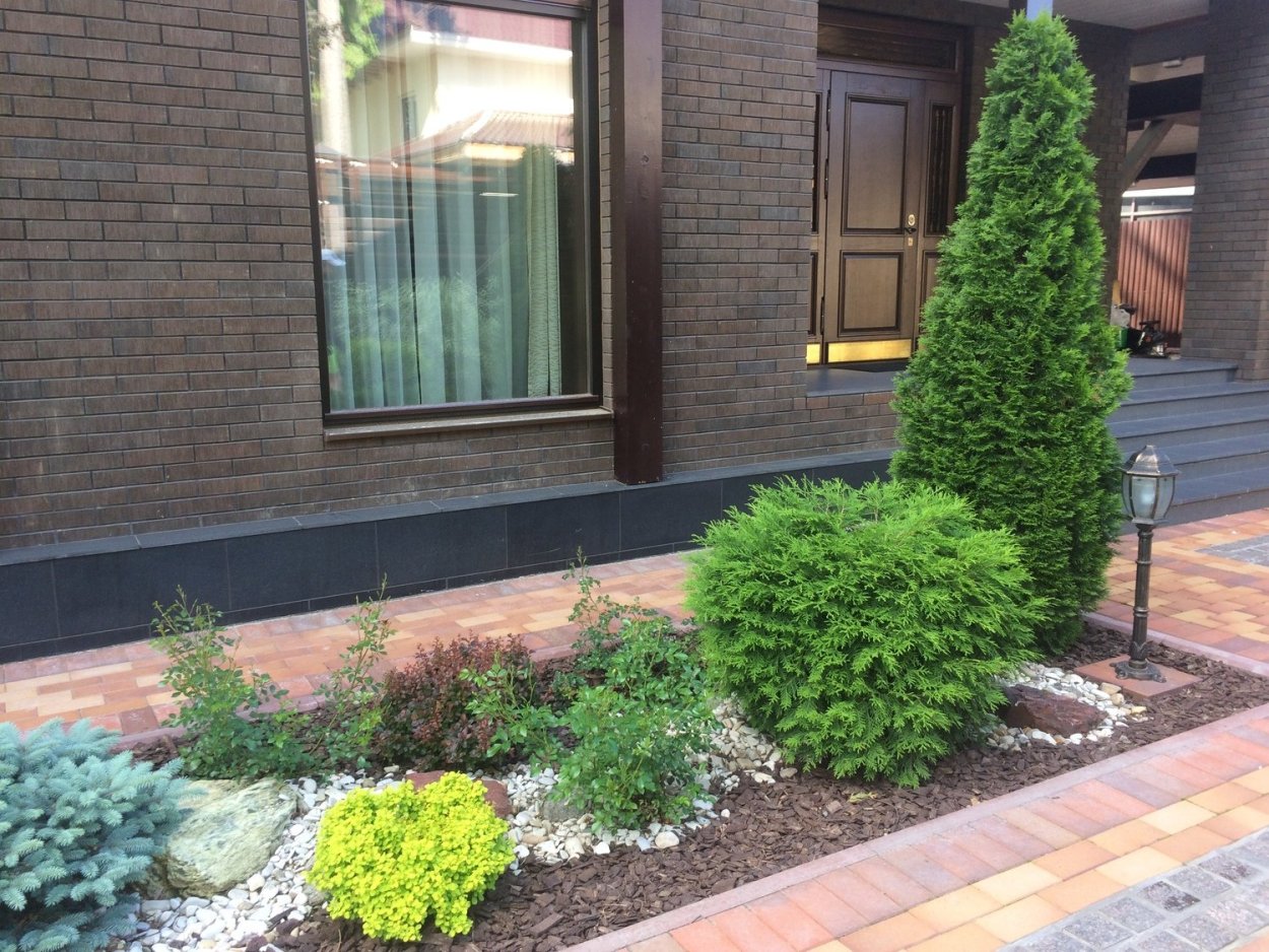 Композиции с можжевельником Блю Эрроу