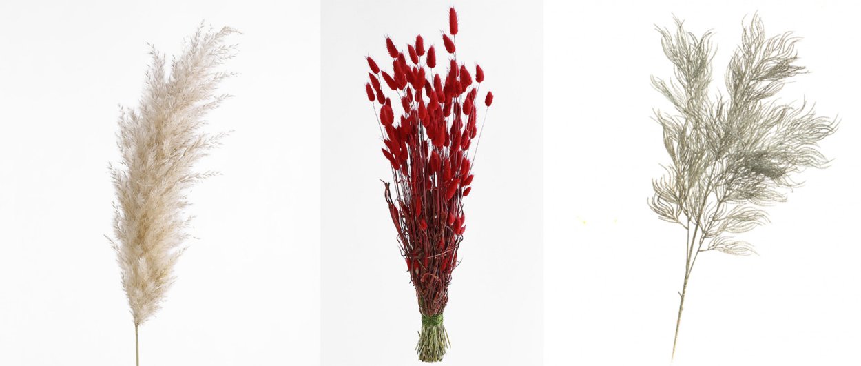 Золотарник Файрворкс