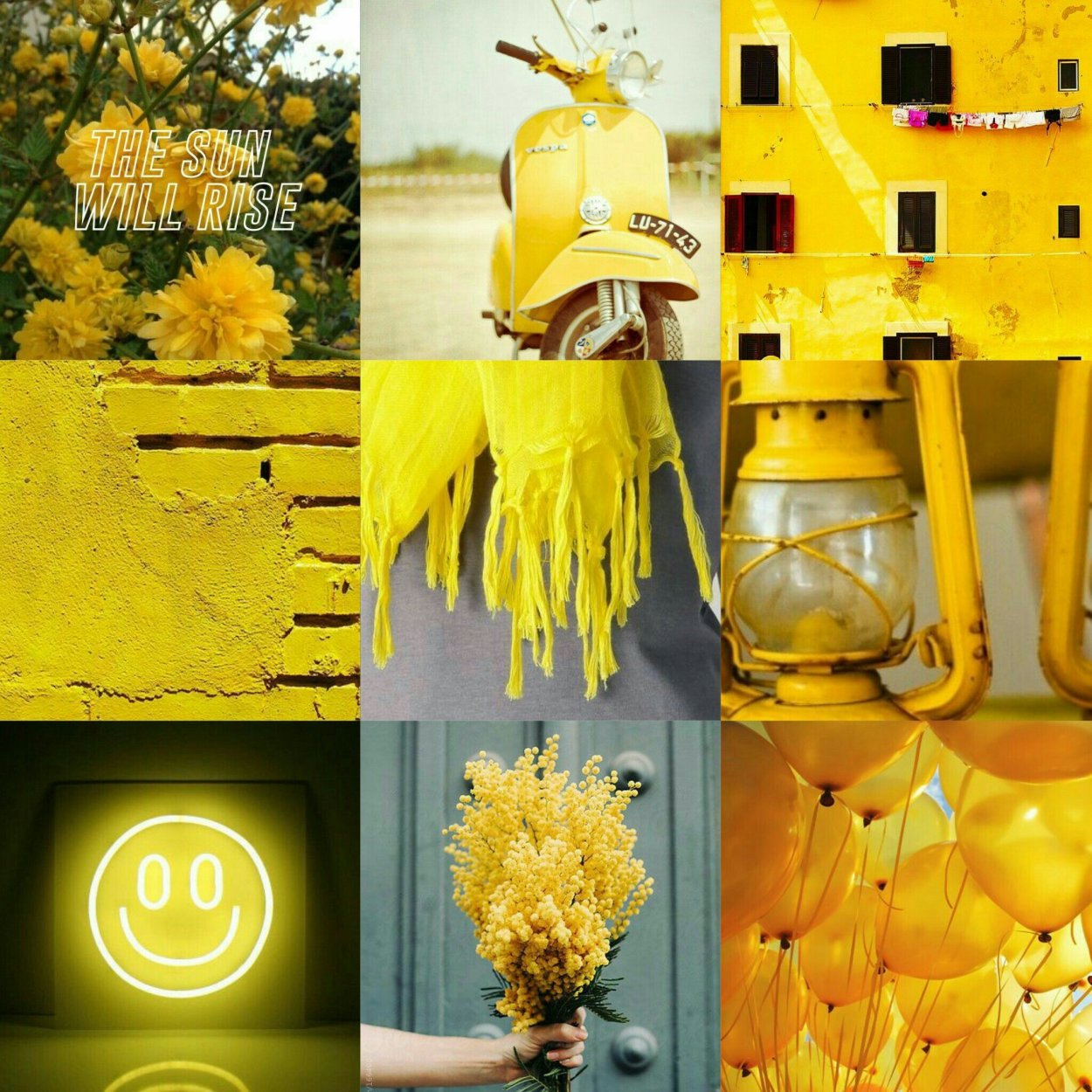 Садовая Мимоза золотарник