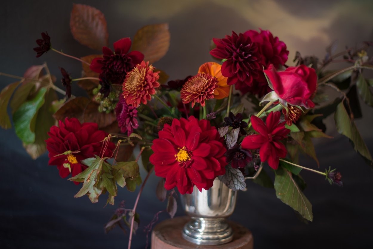 Цветы георгины розы