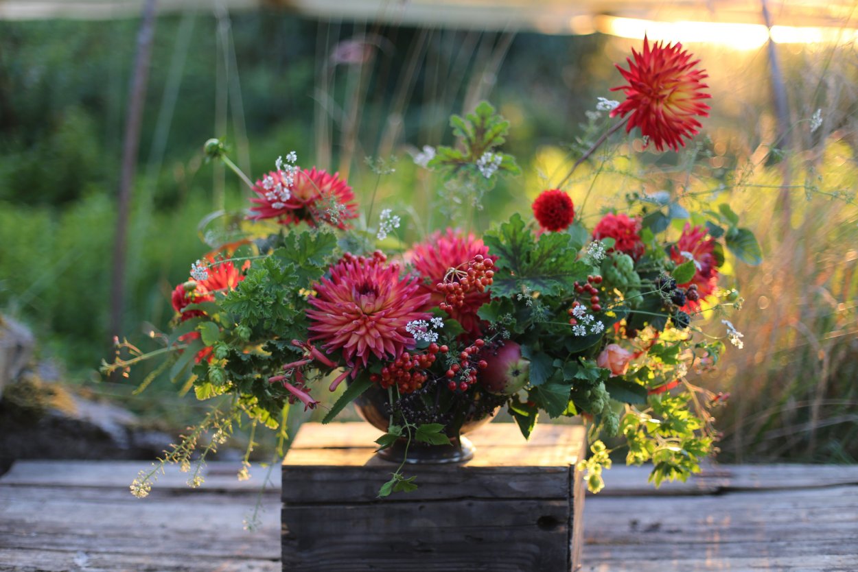 Цветочная ферма Эрин Бензакин