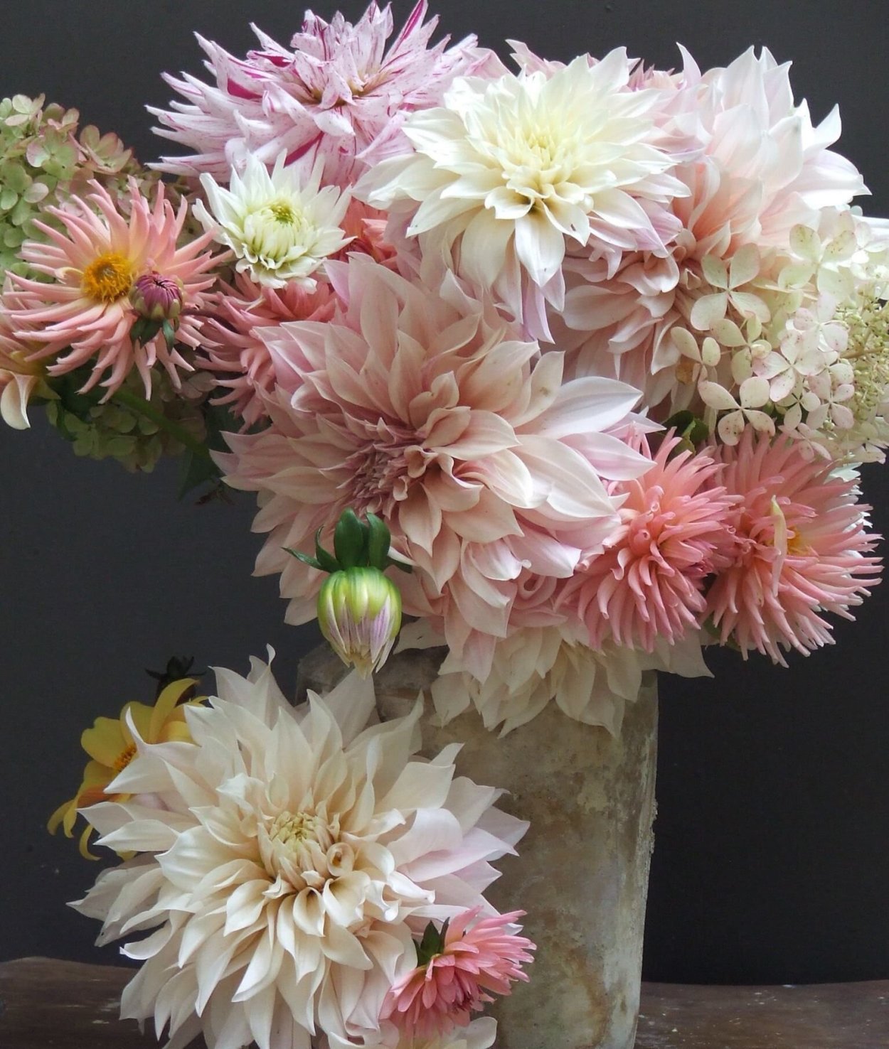 Хризантемы, бархатцы, астры