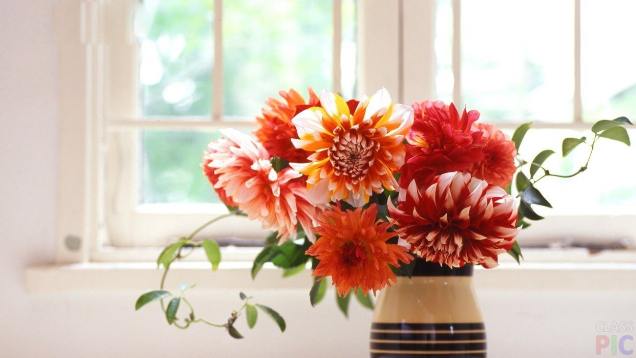 Осенние цветы