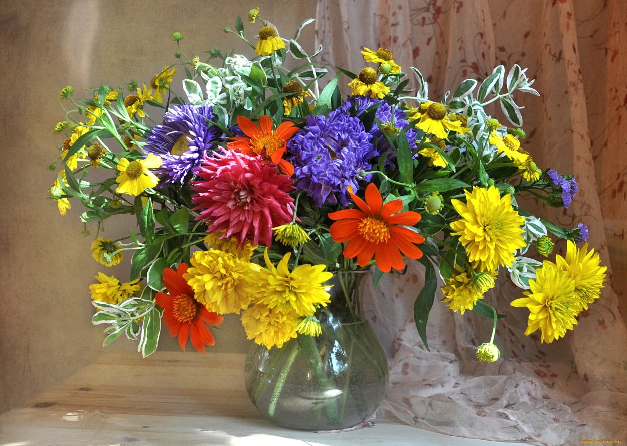 Георгины астры хризантемы букет