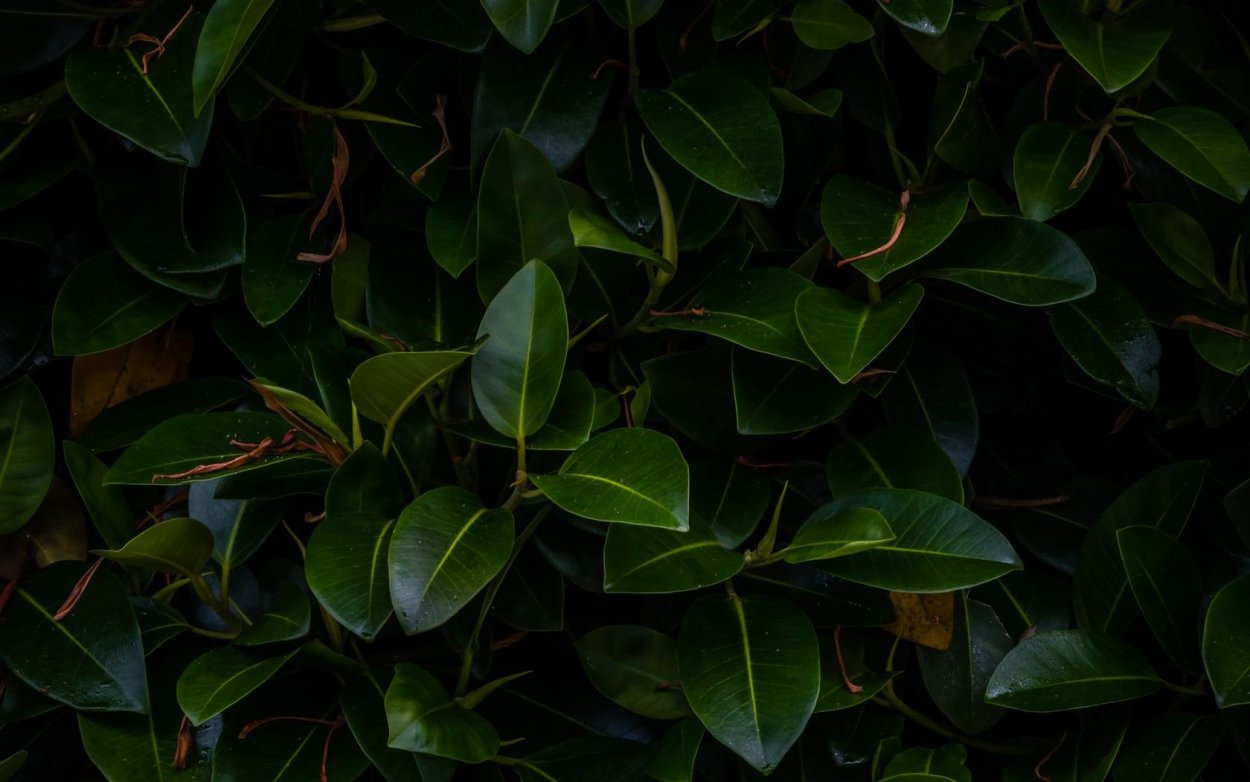 Полезный стресс