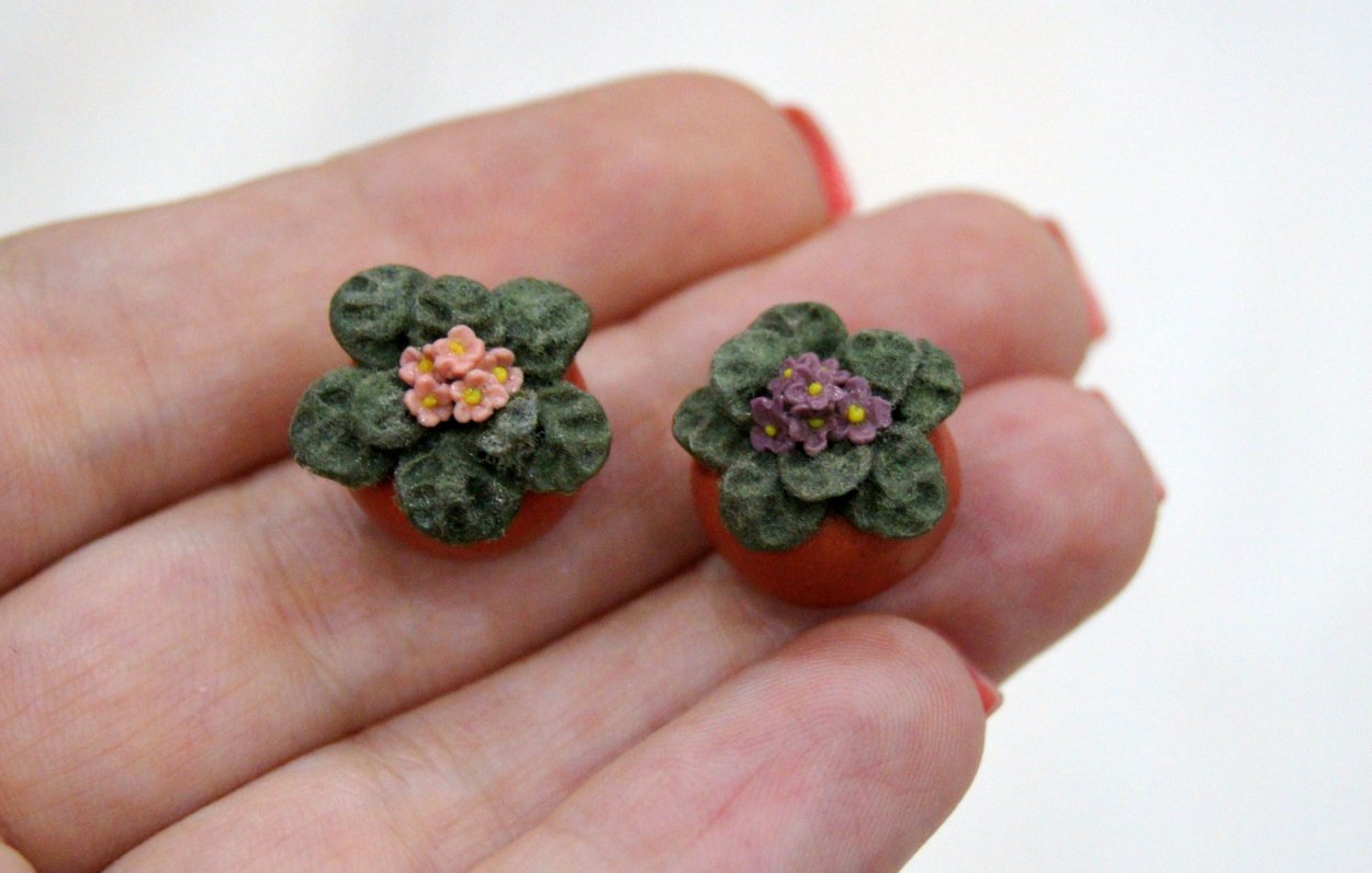 Миниатюрные фиалки
