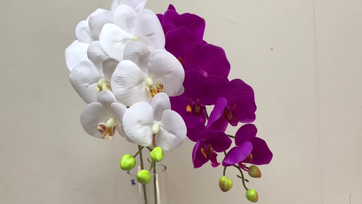 Сого Юкидан