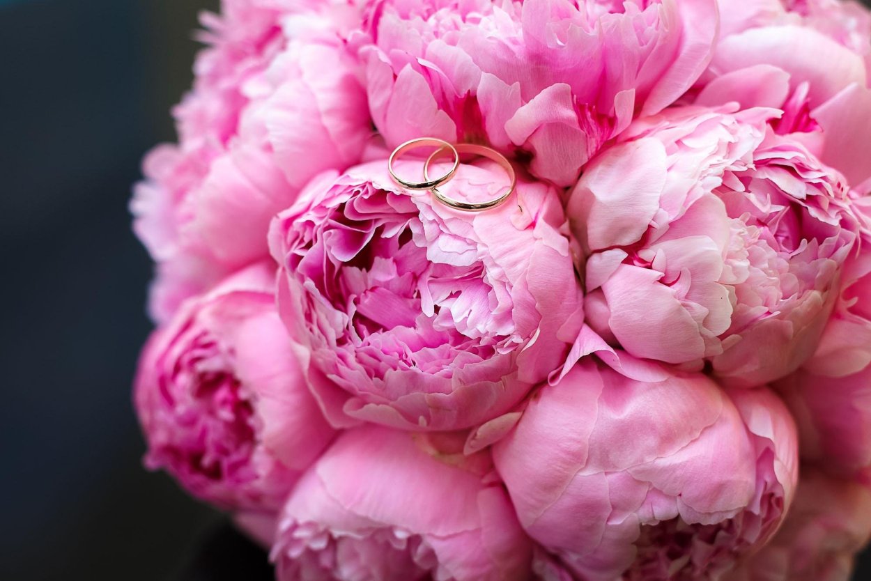 Пиони Пинк (Peony Pink)