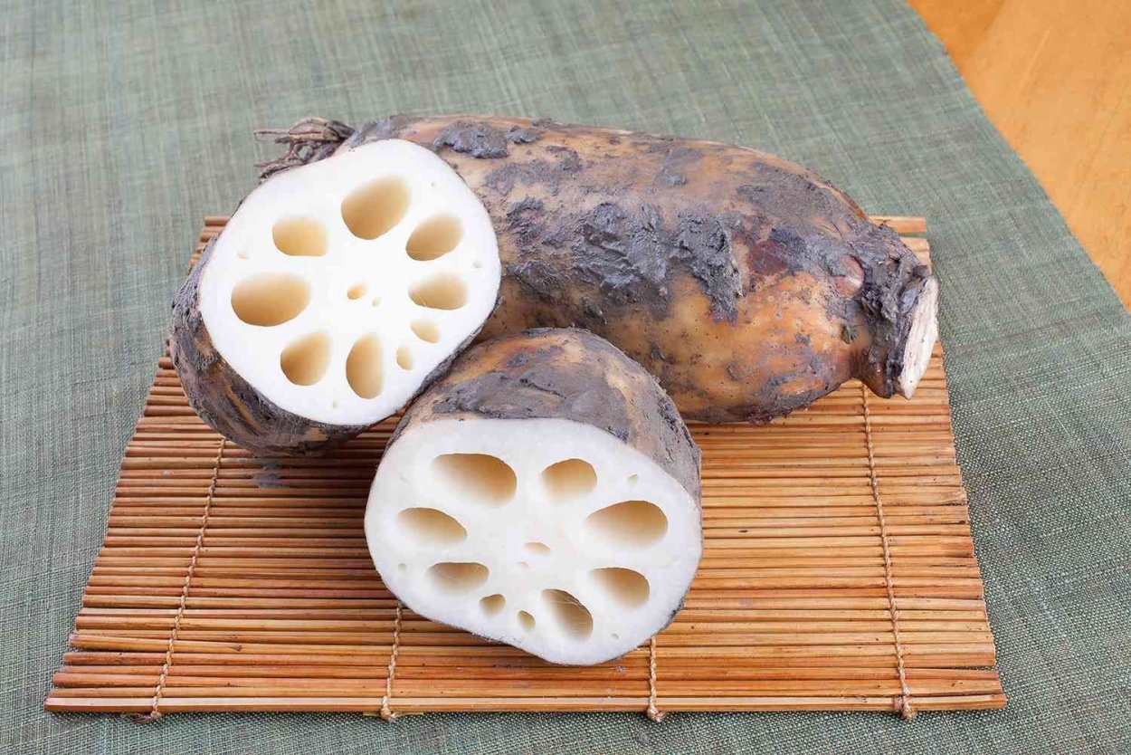 Корень лотоса блюда